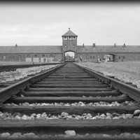 OlocaustoAuschwitz shoah